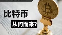 zild币的盈利从何而来(玩虚拟币赚了几十万合法吗)
