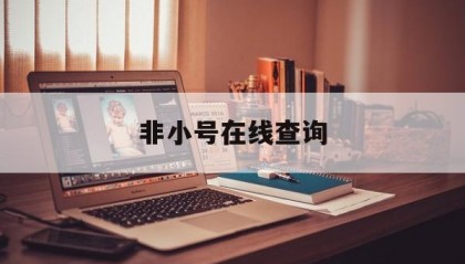 非小号在线查询(非小号app官方网站地址)