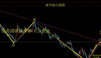 大非农在哪里看(大非农是什么时间公布的)