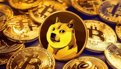 关于狗币交易平台的信息